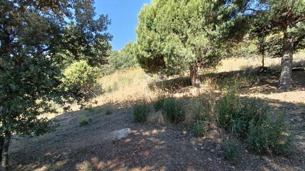 Terreno en calle de Ignacio