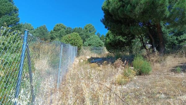Terreno en calle de Ignacio