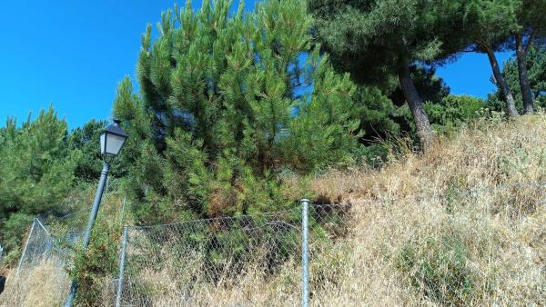 Terreno en calle de Ignacio