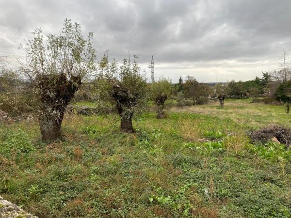 Terreno en Collado Mediano