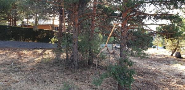 Terreno en calle de Francisco Javier