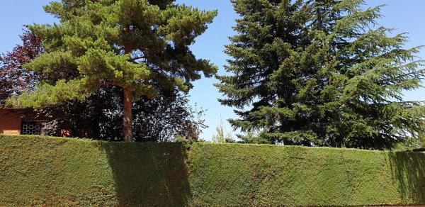 Terreno en calle de Francisco Javier