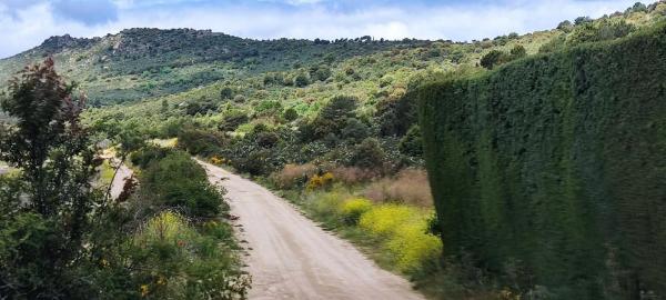 Terreno en Reajo del Roble s/n