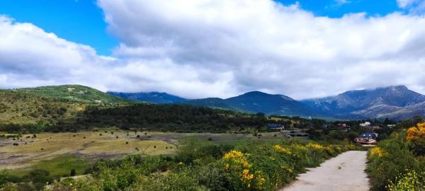 Terreno en Reajo del Roble s/n