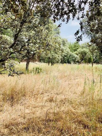 Terreno en Collado Mediano