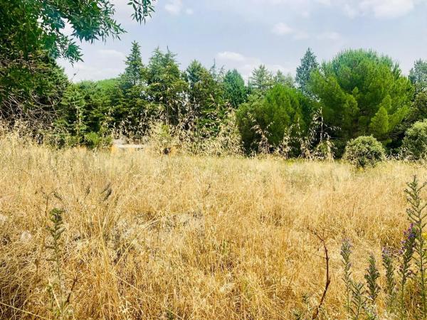 Terreno en Collado Mediano