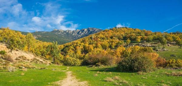 Terreno en Collado Mediano