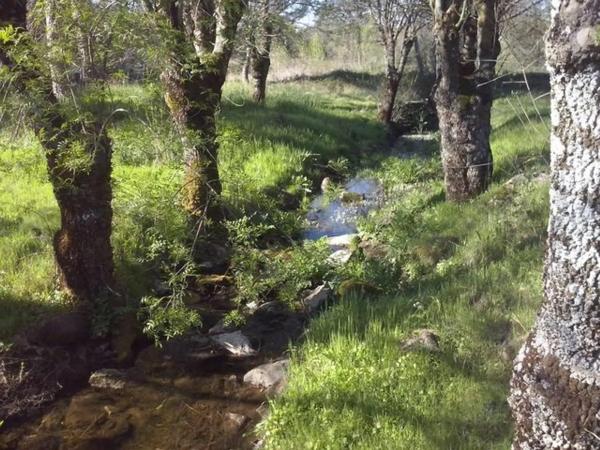 Terreno en Urbanización Sotogrande