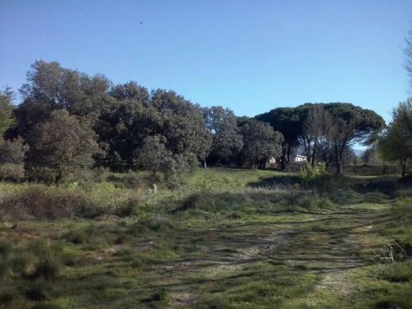 Terreno en Urbanización Sotogrande