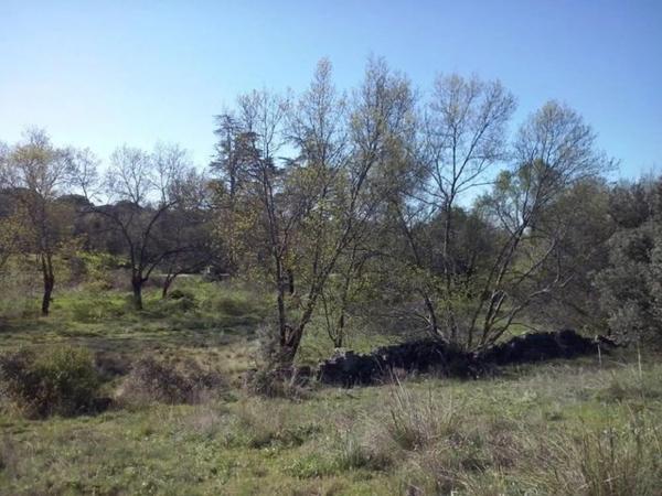 Terreno en Urbanización Sotogrande