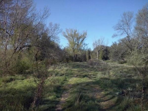 Terreno en Urbanización Sotogrande