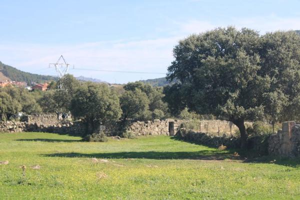 Terreno en Polígono 8, 36 Parcela