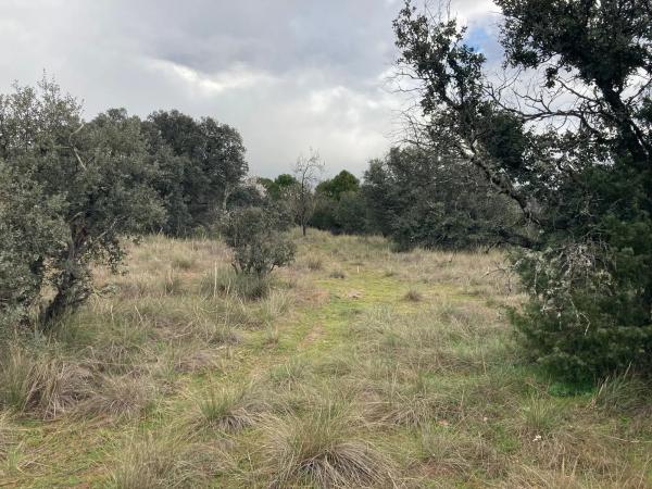 Terreno en Sotogrande de Abajo, 3