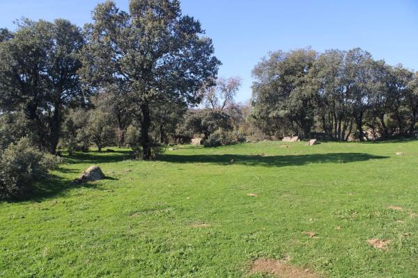 Terreno en Polígono 8, 36 Parcela