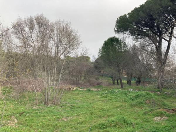 Terreno en Sotogrande de Abajo, 3