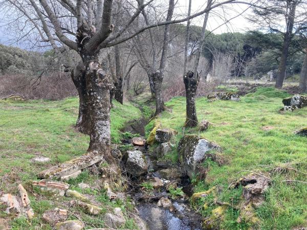 Terreno en Sotogrande de Abajo, 3