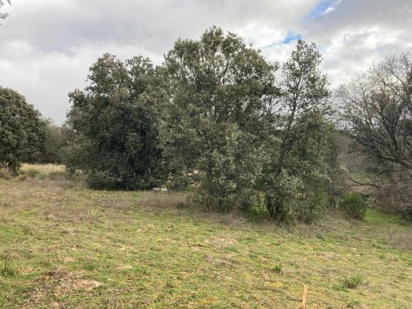 Terreno en Sotogrande de Abajo, 3