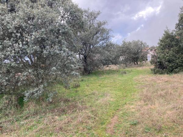 Terreno en Sotogrande de Abajo, 3