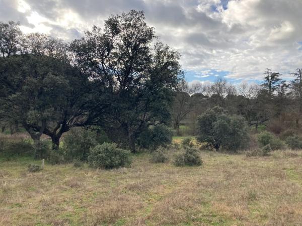 Terreno en Sotogrande de Abajo, 3
