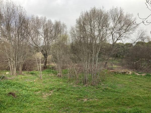 Terreno en Sotogrande de Abajo, 3