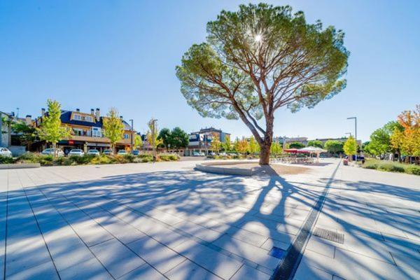 Terreno en calle Mestas