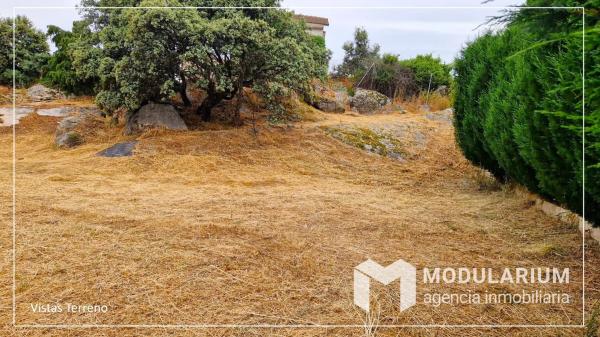 Terreno en calle de la Oca, 76