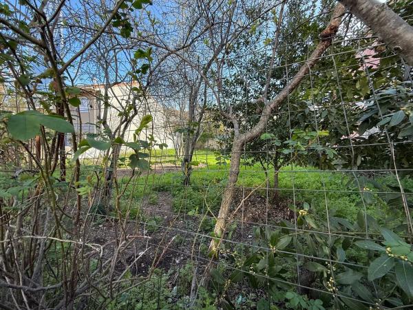 Terreno en calle el Monte, 9