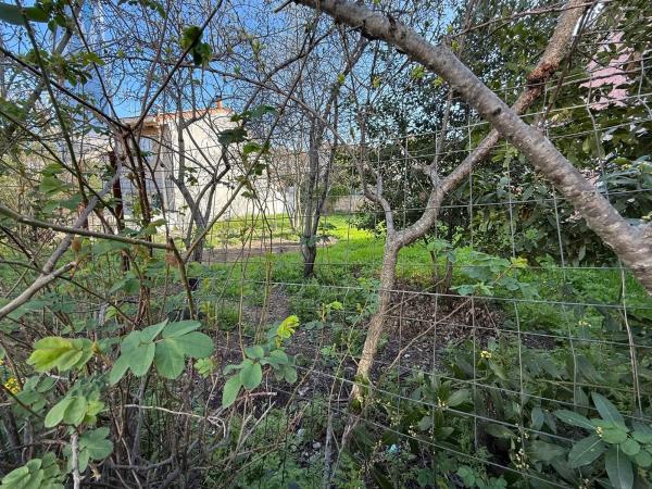 Terreno en calle el Monte, 9