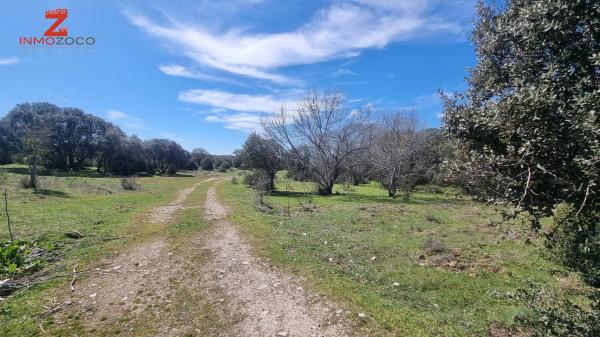 Terreno en Fontenebro - Altavista