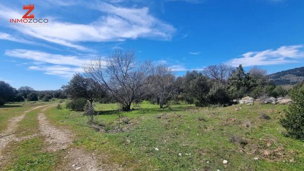 Terreno en Fontenebro - Altavista