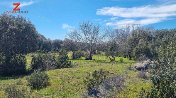 Terreno en Fontenebro - Altavista