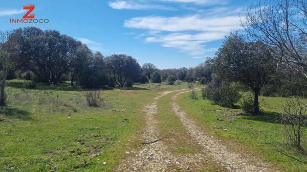 Terreno en Fontenebro - Altavista