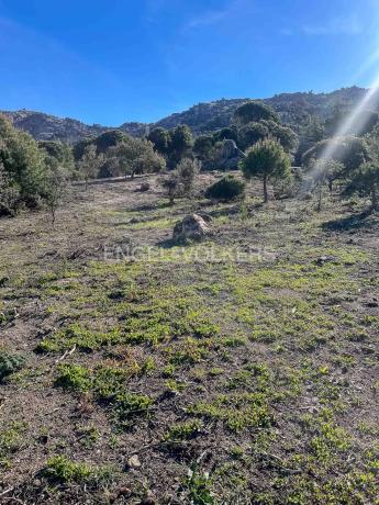 Terreno en Fontenebro - Altavista