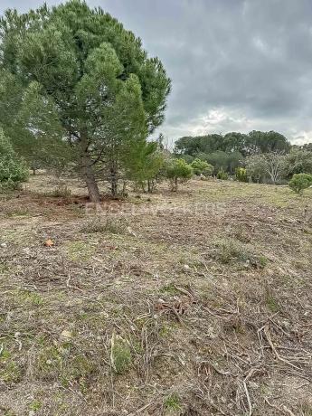 Terreno en Fontenebro - Altavista