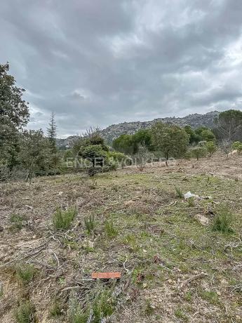 Terreno en Fontenebro - Altavista