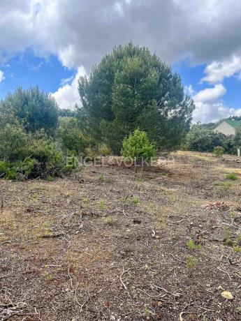 Terreno en Fontenebro - Altavista