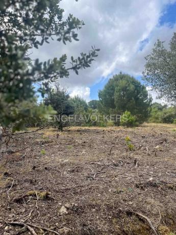 Terreno en Fontenebro - Altavista