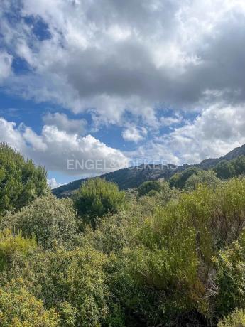 Terreno en Fontenebro - Altavista