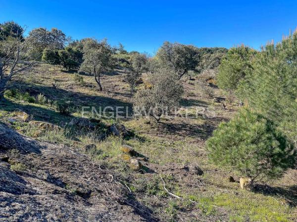 Terreno en Fontenebro - Altavista