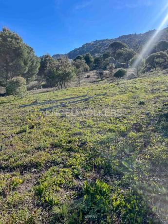 Terreno en Fontenebro - Altavista