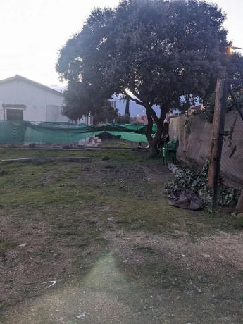 Terreno en calle de la Paloma, 99