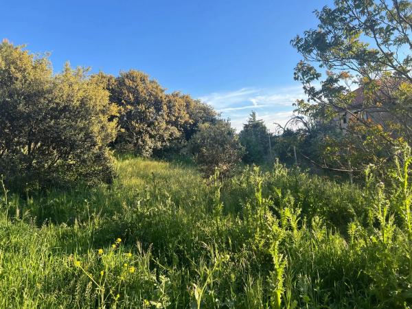 Terreno en calle Golondrinas, 5 -a