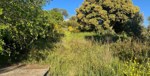 Terreno en calle Golondrinas, 5 -a
