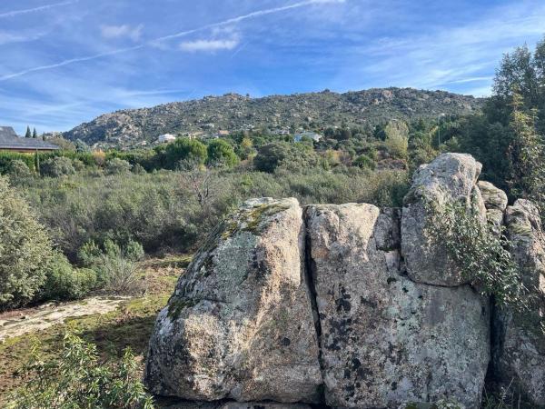 Terreno en calle Mayor de Fontenebro, 257