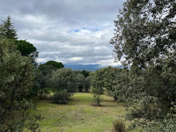 Terreno en Portillo de la Mina