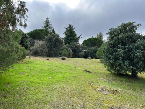 Terreno en Portillo de la Mina