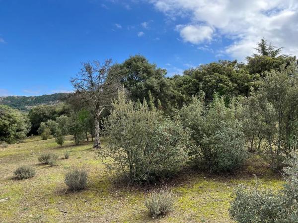 Terreno en Portillo de la Mina