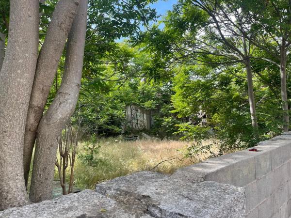 Terreno en calle Libertad, 18