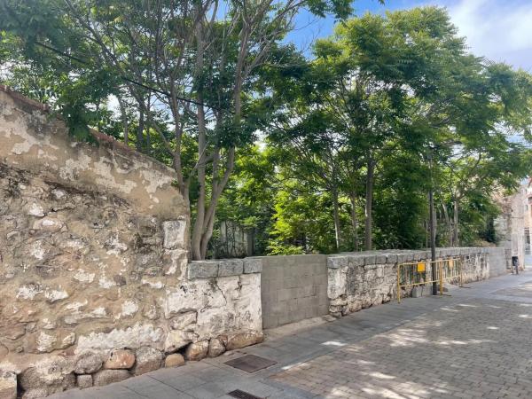 Terreno en calle Libertad, 18