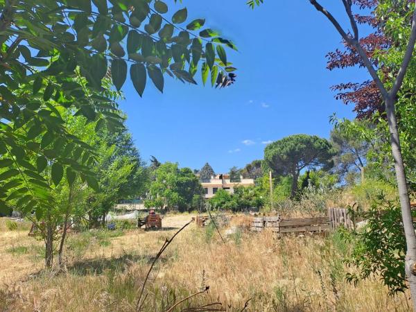 Terreno en avenida de Galapagar s/n